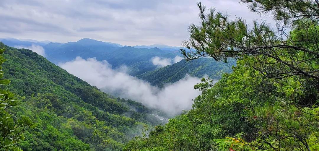 凤凰山；で状闻纳愕街谢┥郊